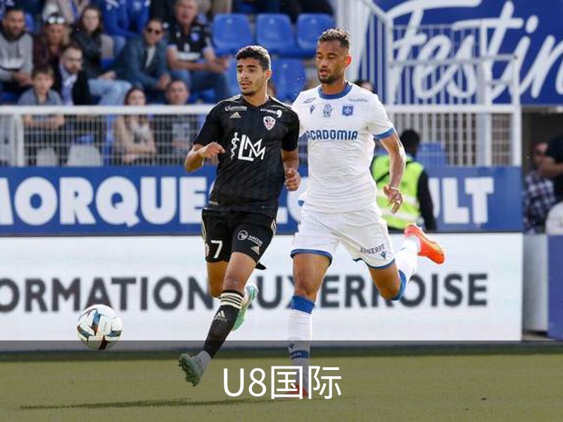 U8国际概况